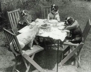1934 Prints: Tabby Forgets Her Table Manners