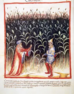 Manuscript Prints: Tacuinum Sanitatis. 14th century