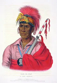 Unitedstates Prints: Tah-Ro-Hon, an Ioway warrior