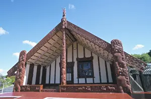 Oceania Prints: Tamatekapua, Maori meeting house whare whakairo