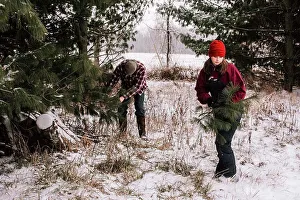 Jackets Prints: Teenages in Snow covered Pines Gathering Pine Branches