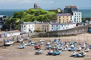 Harbor Prints: Tenby Harbour, Tenby, Pembrokeshire, Wales, United Kingdom, Europe