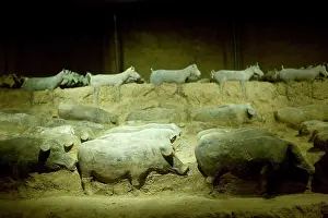 Conservation Prints: Terracotta animal figures at the Han Dynasty Tomb of Han Yang Ling, Xian, China