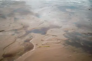 Weather Prints: Textured shore of the reservoir