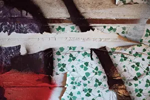 Grunge Prints: Textures from an abandoned house