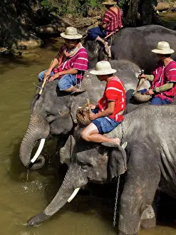Trainer Prints: Thailand, Northern Thailand, Maesa Valley