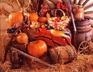 Stalks Prints: Thanksgiving