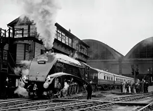 1954 Prints: 'The Elizabethan' Leaves For It's Fastest Run - A general view of 'The Elizabethan' pulling out