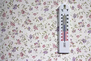 Floral Pattern Prints: Thermostat temperature at 21 degrees