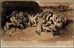 Adult Animal Prints: Tigre Couche Eugene Delacroix (1798-1863 French) Ink with Watercolor Christie's Images