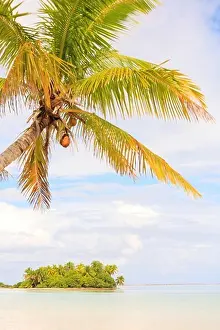 Tahiti Prints: Tiny picnic island near South End