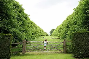 1 2 Years Old Prints: toddler climbing a gate in the countryside to look at a field of cows
