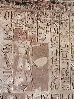 Successful Prints: Tomb of Ahmose, a soldier