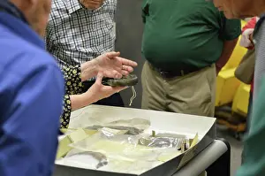 Civil War Prints: Tonia Deetz-Rock, Deputy Director and Curator at the Hampton Roads Naval Museum