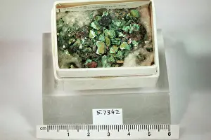 Mineral Prints: Torbernite. minerals. Europe; United Kingdom; England; Cornwall