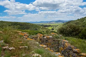 Wine Prints: Torres Vedras Portugal. 18 may 2017