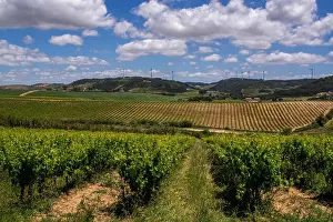 Farm Prints: Torres Vedras Portugal. 18 May 2017