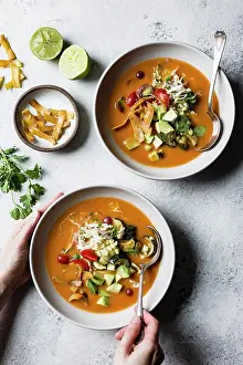 Spicy Prints: Tortilla soup by Alanna Taylor-Tobin at The Picture Pantry @the_bojon_gourmet