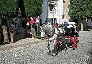 Urban Environment Prints: Tourist horse and carriage ride around the old city of Ronda, Spain, Europe