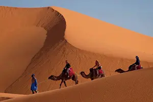 Merzouga Prints: Tourists on camel trek in the Erg Chebbi Desert