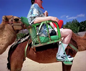 Humor Prints: Tourists On Camels, Lanzarote, Canary Islands, Spain