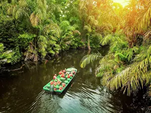 Tours Prints: Tourists taking a boat tour on the Tortuguero River