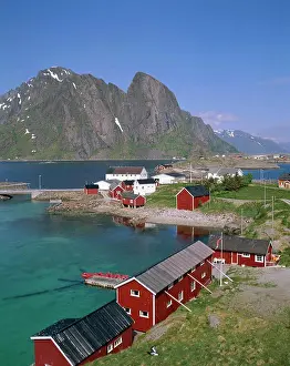Farm Prints: Town View with Fisherman's Cabins (Rorbus), Sakrisoy, Lofoten Islands, Norway