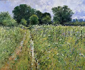 Farm Prints: Track to the Farm, Rapsgate Park