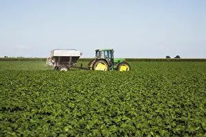 Tractor Prints: Tractor-Pulled Bulk Fertilizer Application Broadcasting Urea Fertilizer (Source Of Nitrogen)