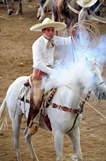 Rope Prints: Traditional horseman or Charro competing in Mexican rodeo holding lasso