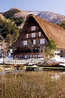 Rice Prints: Traditional japanese village house with thatched roof with rice field in front