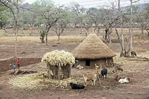 East Africa Prints: Traditional round hut with thatched roof of the Gamo tribe