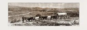 Engraved Image Prints: THE TRANSVAAL GOLD FIELDS, SOUTH AFRICA