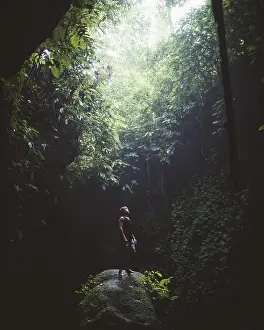 Beam Prints: Traveler standing on rock in beautiful dark forest with lush tropical vegetation looking up on beam of light