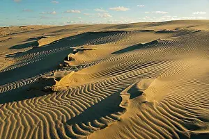 Natural Preserve Prints: Travelling dune, Rabjerg Mile, Rabjerg Mile