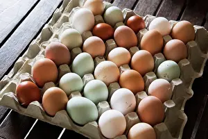 Farm Prints: A tray of fresh organic eggs, in a variety of colours