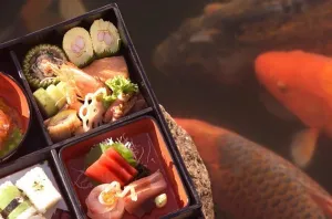 Metropolis Prints: Tray with japanese starters next to koi pond, Restaurant Yamazato, Amsterdam, Netherlands