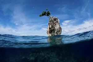 Live Prints: One Tree Rock, Boo Island, Misool, Raja Ampat, West Papua, Indonesia, Pacific Ocean