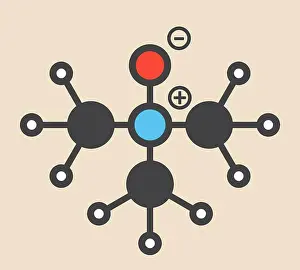 Composition Prints: Trimethylamine N-oxide (TMAO) molecule