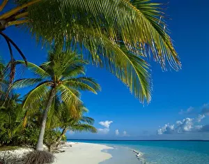 Indian Ocean Prints: Tropical Island Beach Scene on Ari Atoll, Maldive Islands, Indian Ocean