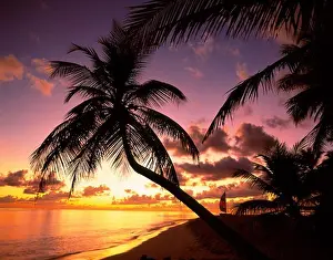 Sunsets Prints: Tropical island with palm trees on Male Atoll in the Maldive Islands, Indian Ocean