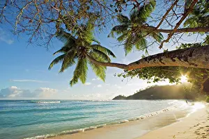 Perfection Prints: A Tropical Vacation