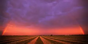 Prism Prints: Truncated Rainbow Above a Parallax Field