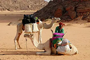 Orient Prints: Tuareg loads camels in the desert Acacus Libya