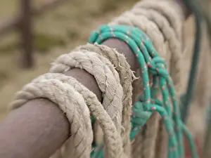 Horse Drawn Prints: Tucson, Arizona: Ropes and hanrnesses used on horse drawn wagons