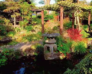 Leinster Prints: Tully Japanese Gardens, Co Kildare
