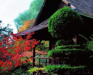 Leinster Prints: Tully Japanese Gardens, Co Kildare, Ireland, Tea house with Acer and topiary trees