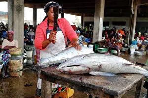 Knife Prints: Tuna fish, Fish market, Port of Lome, Togo, West Africa, Africa