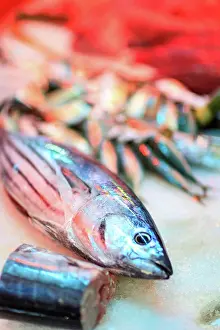 Tahiti Prints: Tuna, Papeete Public Market, Tahiti Nui, Society Islands, French Polynesia, South Pacific