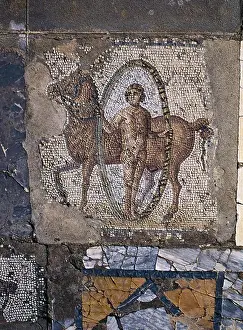 Society Prints: TUNISIA. Carthage. House of Horses
